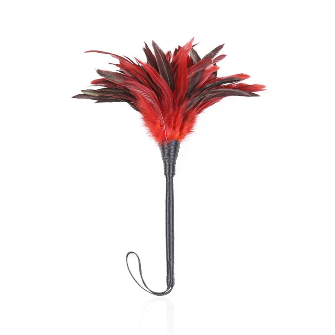La plume du plaisir